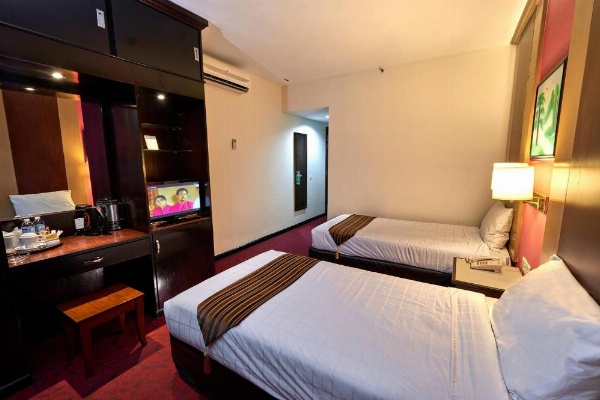 Palace Hotel image 19