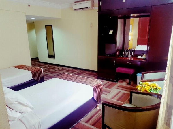 Palace Hotel image 8